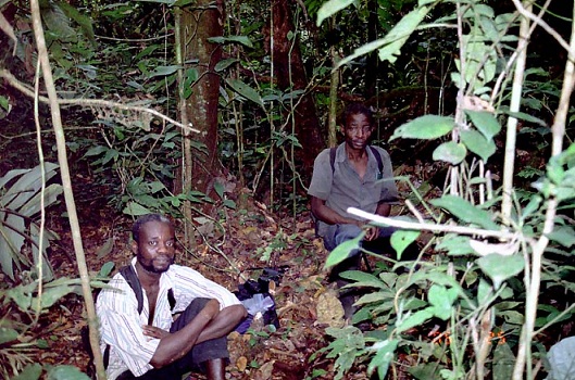 Inside of Wamba forest